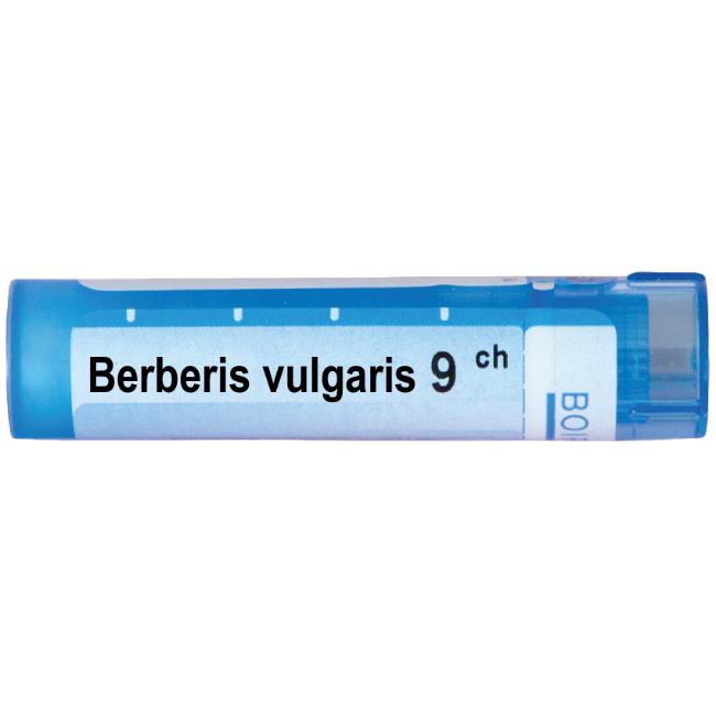 Boiron Berberis vulgaris / Берберис вулгарис 9 CH